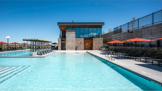 Macanta: The Grand Collection 25