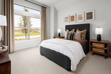 Trinity Falls by Coventry Homes in McKinney - image 13