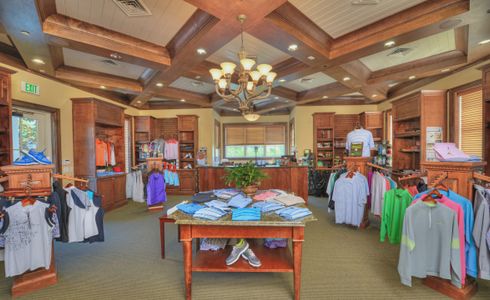 Amelia National by ICI Homes in Fernandina Beach - image 13