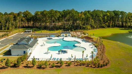 Carolina Groves Townhomes by D.R. Horton in Moncks Corner - photo 6 6