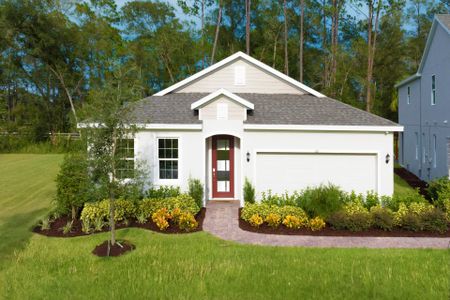 Beresford Woods by Landsea Homes in Deland - photo 13 13