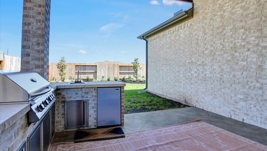 Sunterra 40 by Tricoast Homes in Katy - image 7