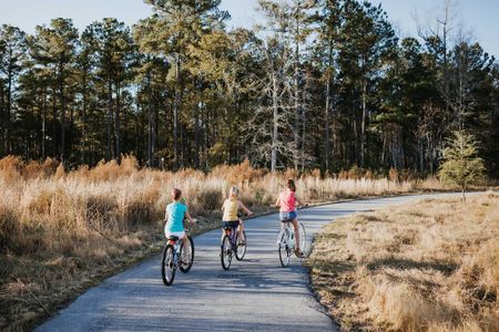 Point Hope – Park Collection by David Weekley Homes in Charleston - photo 21 21