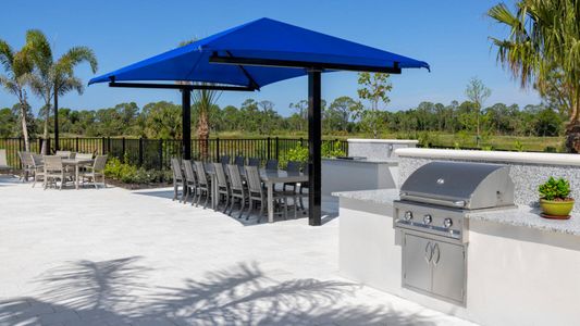 Vistera of Venice by Neal Communities in Nokomis - image 10