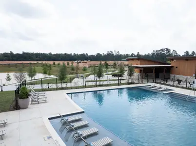 Clopton Farms by Tri Pointe Homes in Montgomery - image 4
