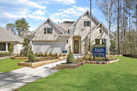 The Highlands 45' - Encore Collection by David Weekley Homes in Porter - photo 8 8