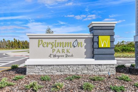 Persimmon Park - Cottage Series by David Weekley Homes in Wesley Chapel - photo 1 1