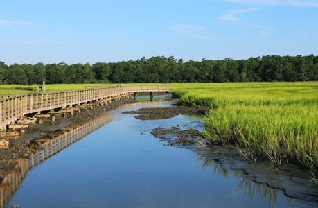Inlet Keys by Beazer Homes in Murrells Inlet - image