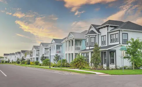 Persimmon Park by ICI Homes in Wesley Chapel - image 3