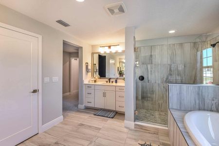 Triple Creek by Homes by WestBay in Riverview - photo 45 45