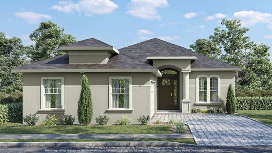 Coastal Gardens at Town Center by Paytas Homes in Palm Coast - image 18