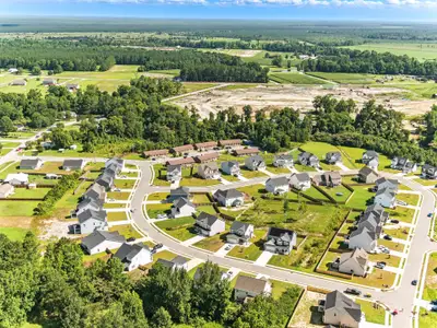 Muscadine by Dream Finders Homes in Jacksonville - image