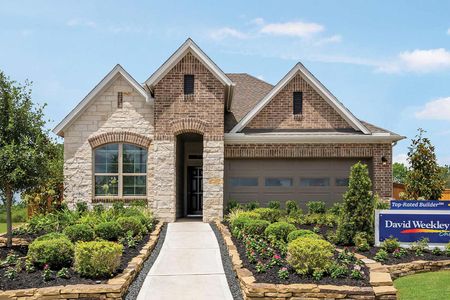Meridiana 45' Homesites by David Weekley Homes in Manvel - image 3