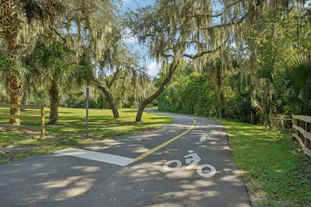 Spring Walk at the Junction by Stanley Martin Homes in Debary - photo 29 29