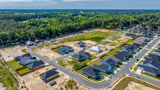 Savannah Station by Maronda Homes in Alachua - photo 7 7