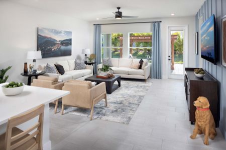 Waterset Tradition Series by David Weekley Homes in Apollo Beach - image 9