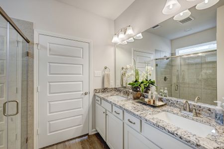 La Segarra by Smith Douglas Homes in Brookshire - image 7