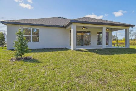 Royal Highlands by Vitale Homes in Brooksville - photo 20 20