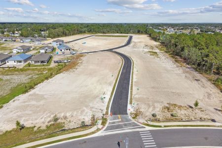 Avalon West by M/I Homes in Spring Hill - photo 43 43