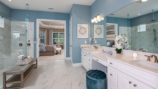 Esplanade at Wiregrass Ranch by Taylor Morrison in Wesley Chapel - photo 55 55