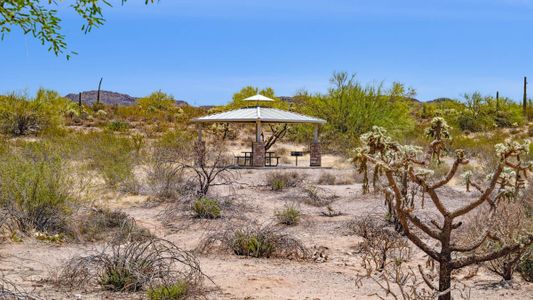 Entrada Del Oro by D.R. Horton in Gold Canyon - image 10