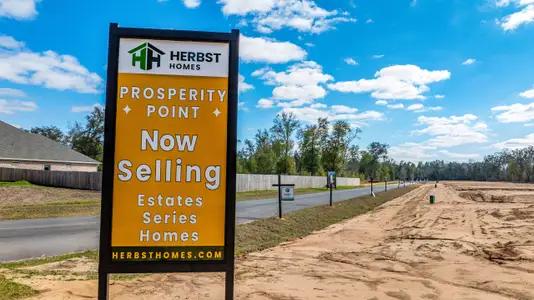 Prosperity Point by Herbst Homes in Milton - image 17
