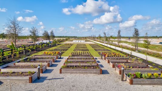 Newfield - Rosette Park 19