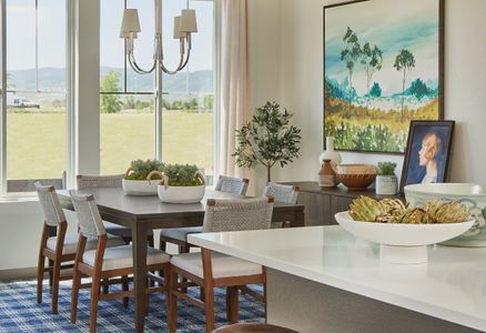 Horizon at Solstice by Shea Homes in Littleton - photo 37 37