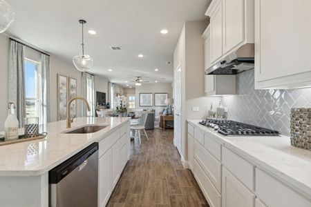 Redden Farms – Active Adult by Impression Homes in Midlothian - image 12