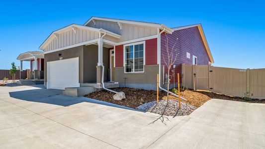 The Reserve at Green Valley Ranch Aurora by Oakwood Homes Co in Aurora - image 11