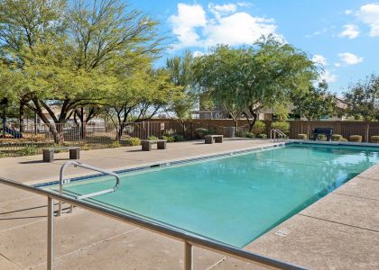 The Ridge Collection at North Copper Canyon by Century Communities in Surprise - image 15