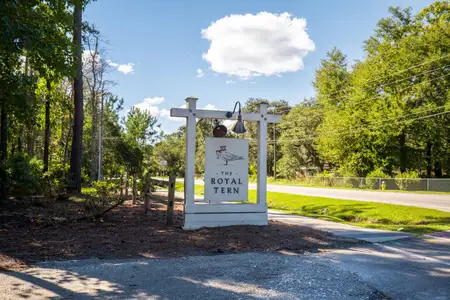 Indigo Grove Single Family Homes by Stanley Martin Homes in Johns Island - image
