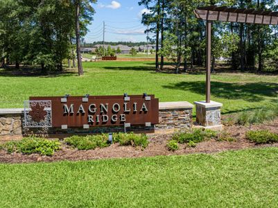 Magnolia Ridge by M/I Homes in Magnolia - image 15