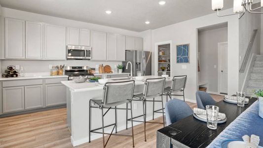 Aspen Meadows-4 by View Homes in Colorado Springs - image 17