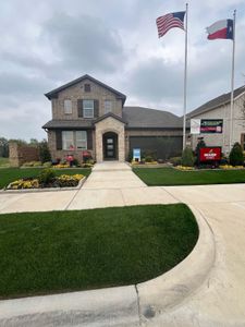 Whitewing Trails: Crossings 60' 17