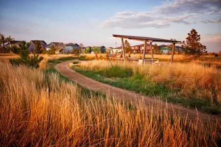 Painted Prairie by Tri Pointe Homes in Aurora - image