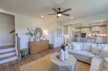 Dorris Farm at Willow Springs by Goodall Homes in White House - image 13
