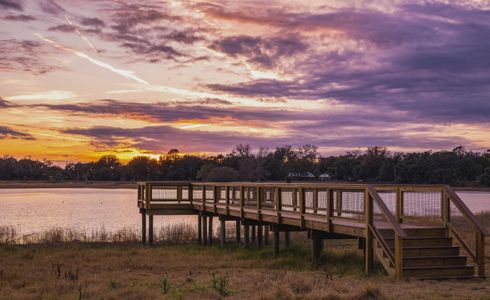 West Hill Estates by ICI Homes in Dade City - image 19