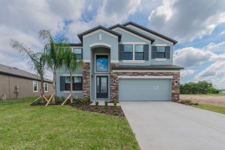 Cobblestone by M/I Homes in Zephyrhills - photo 30 30