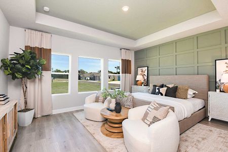 Isles at BayView by David Weekley Homes in Parrish - photo 27 27