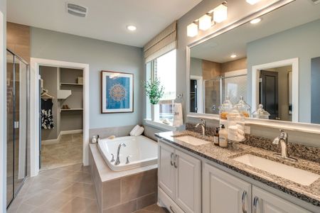 Lakes of River Trails by David Weekley Homes in Fort Worth - photo 23 23