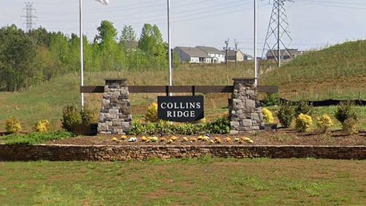 Collins Ridge by D.R. Horton in Hillsborough - image