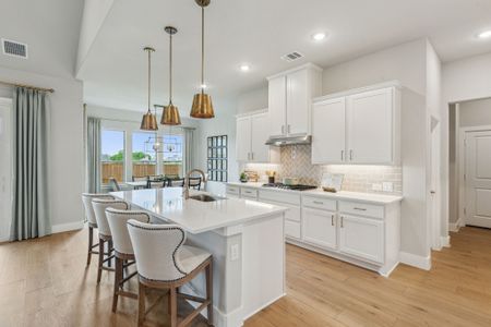 Ellis Ranch Estates by Centre Living Homes in Waxahachie - image 7