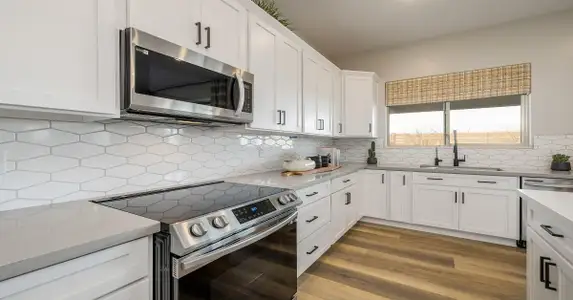 Eminence at Alamar by William Ryan Homes in Avondale - photo 66 66