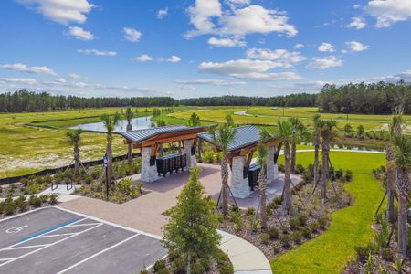 Shortgrass at Two Rivers by M/I Homes in Zephyrhills - image 19