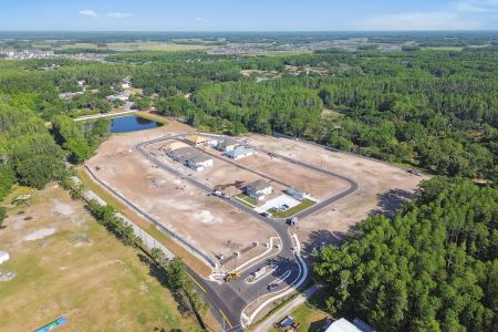 Oakstead Estates by M/I Homes in Land O' Lakes - photo 1 1