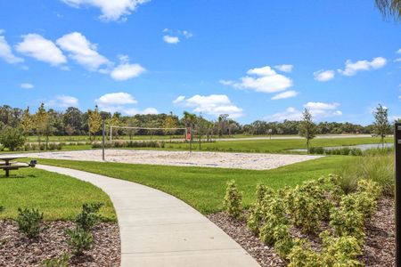 Waterset Cottage Series by David Weekley Homes in Apollo Beach - photo 24 24