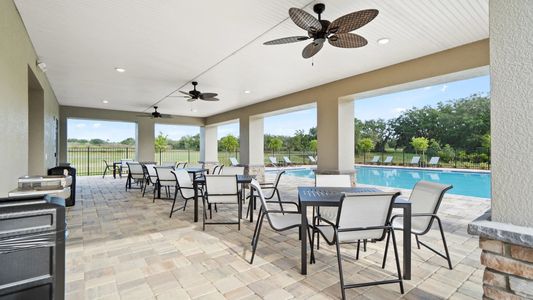 Woodland Ranch Estates: Majors 8