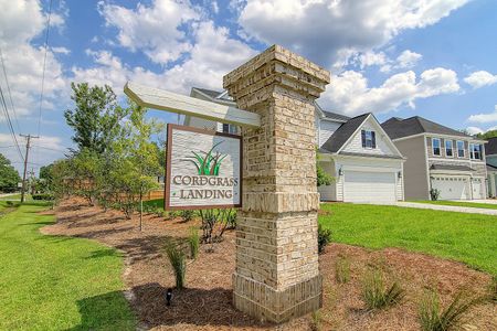 Cordgrass Landing by Mungo Homes in Johns Island - photo 4 4