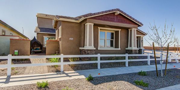 Tranquility at Eastmark by Woodside Homes in Mesa - photo 5 5